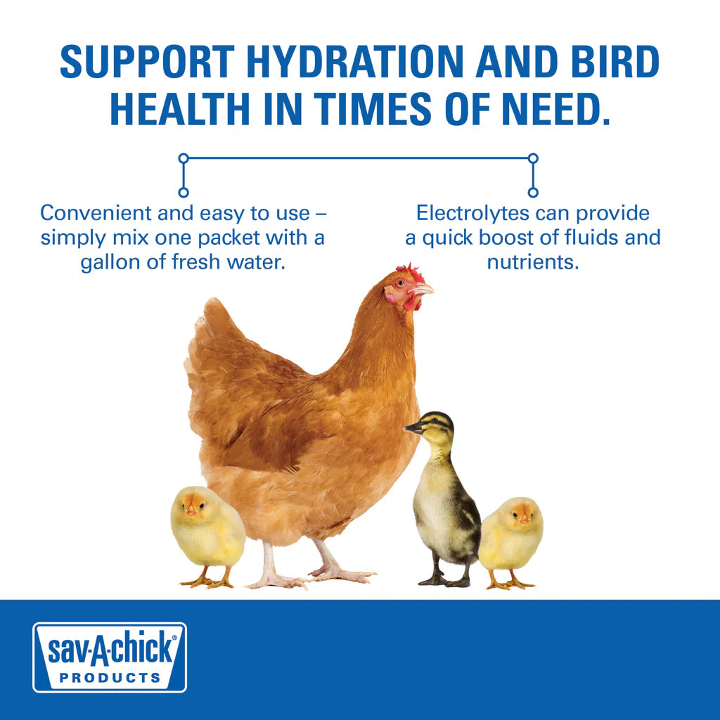Sav-A-Chick Poultry Vitamins Electrolytes 3-Pack Bird Supplement Stress Relief