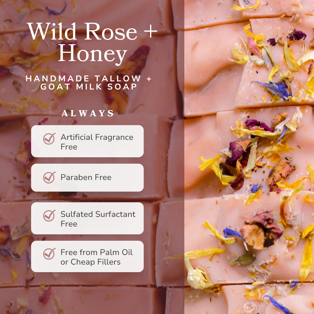 Wild Rose + Honey Tallow Soap - Handmade Goat Milk Bar