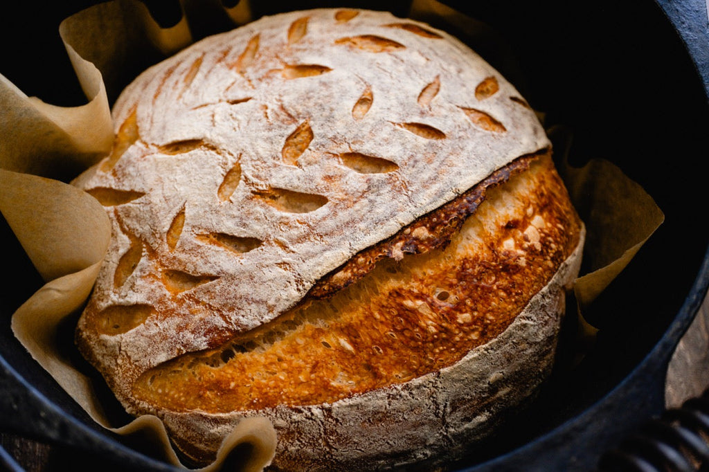 Otis Sourdough Starter - Active Since 2013
