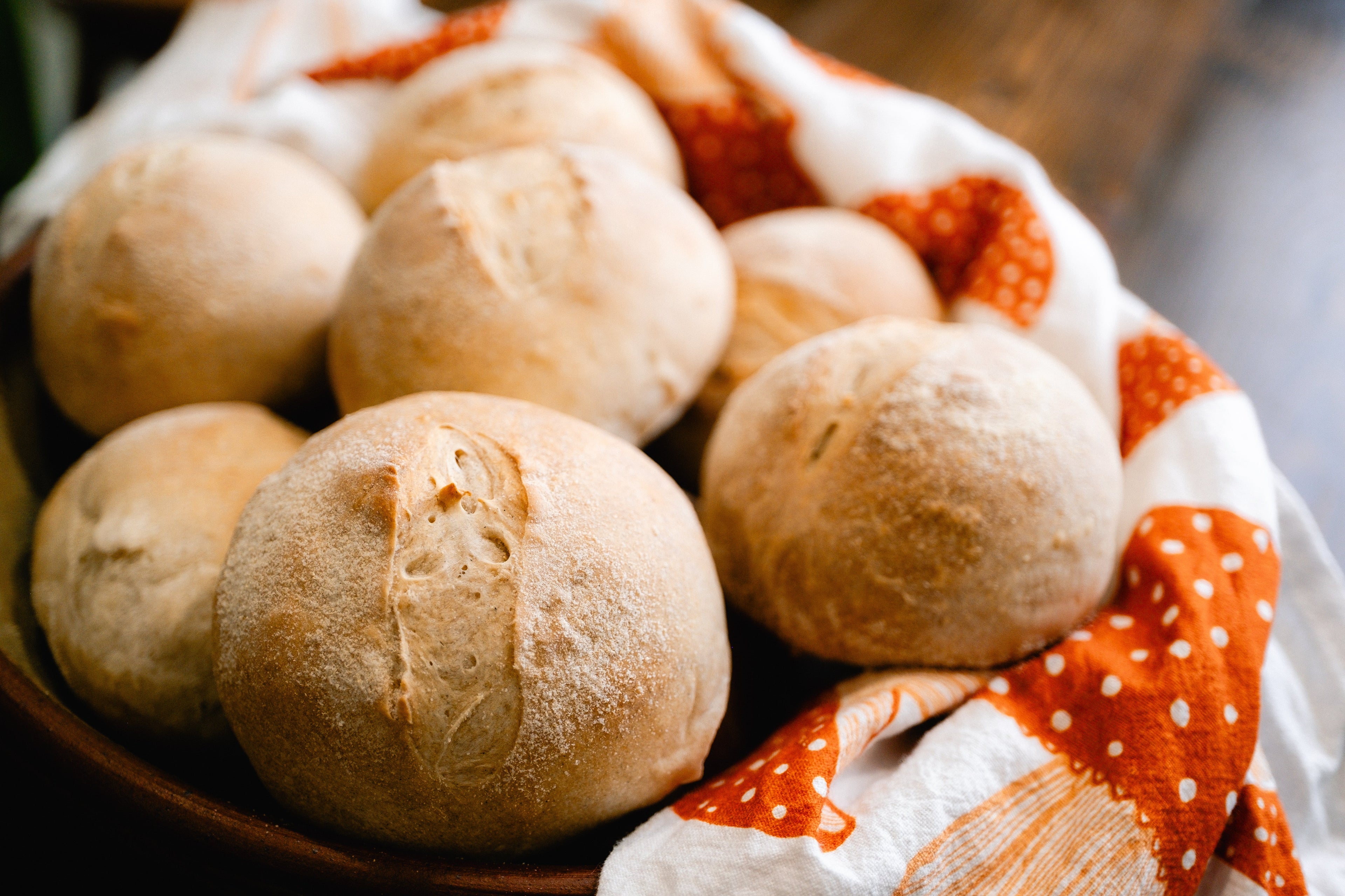 Otis Sourdough Starter - Active Since 2013