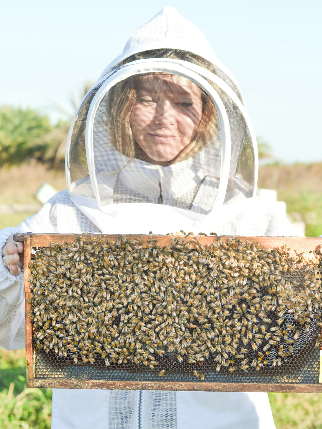 Buttermilk Tallow Soap - Fragrance-Free for Sensitive Skin