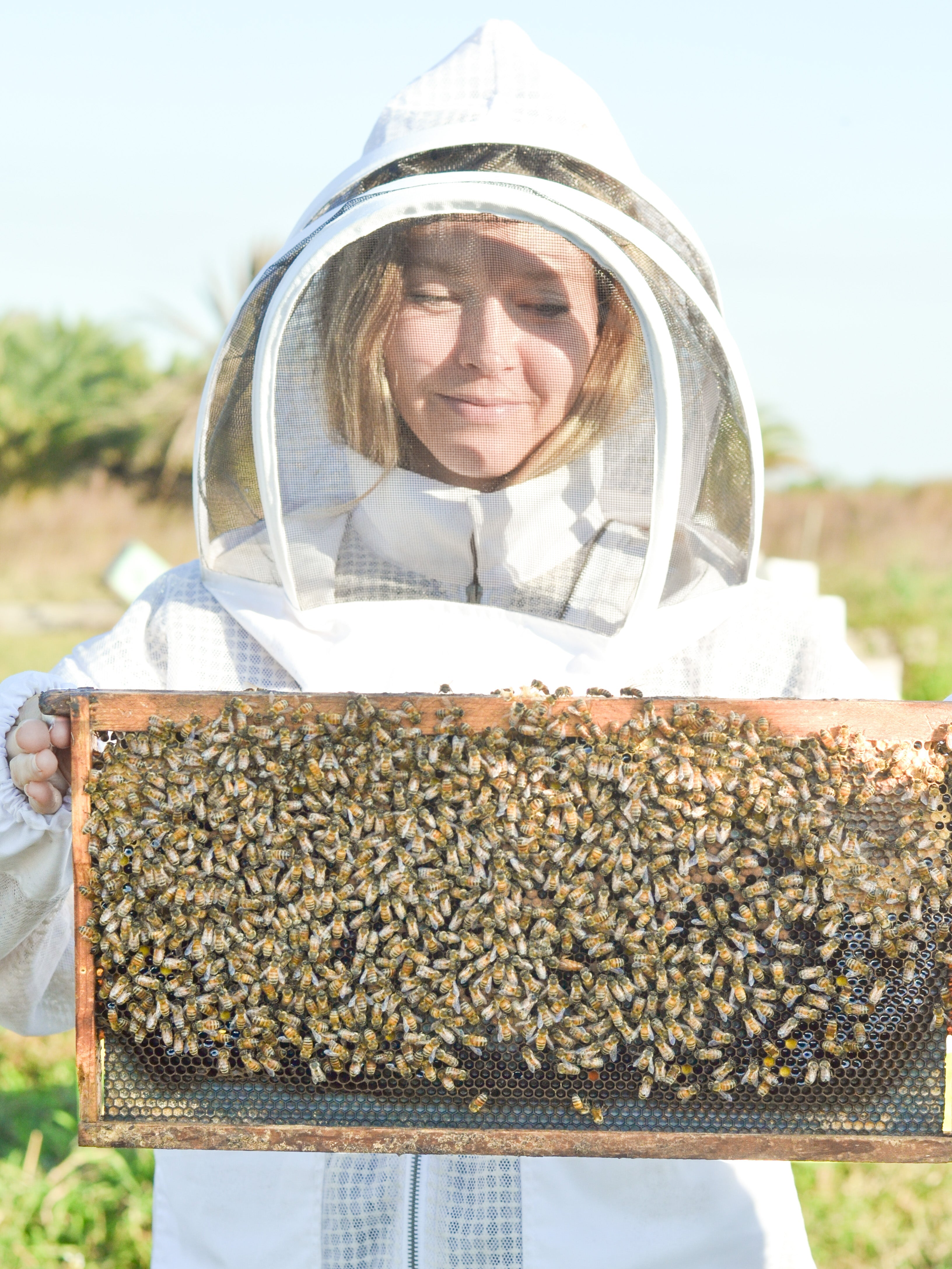 Buttermilk Tallow Soap - Fragrance-Free for Sensitive Skin