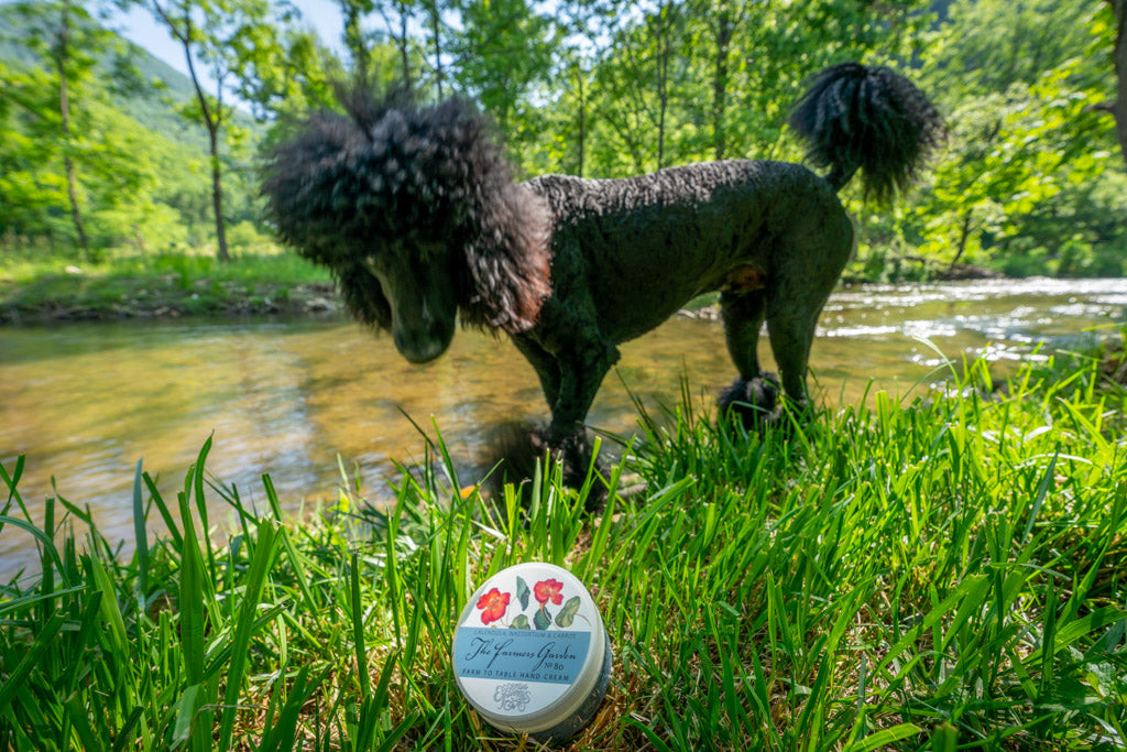 The Farmers Garden Hand Cream - 8 oz Farm to Table