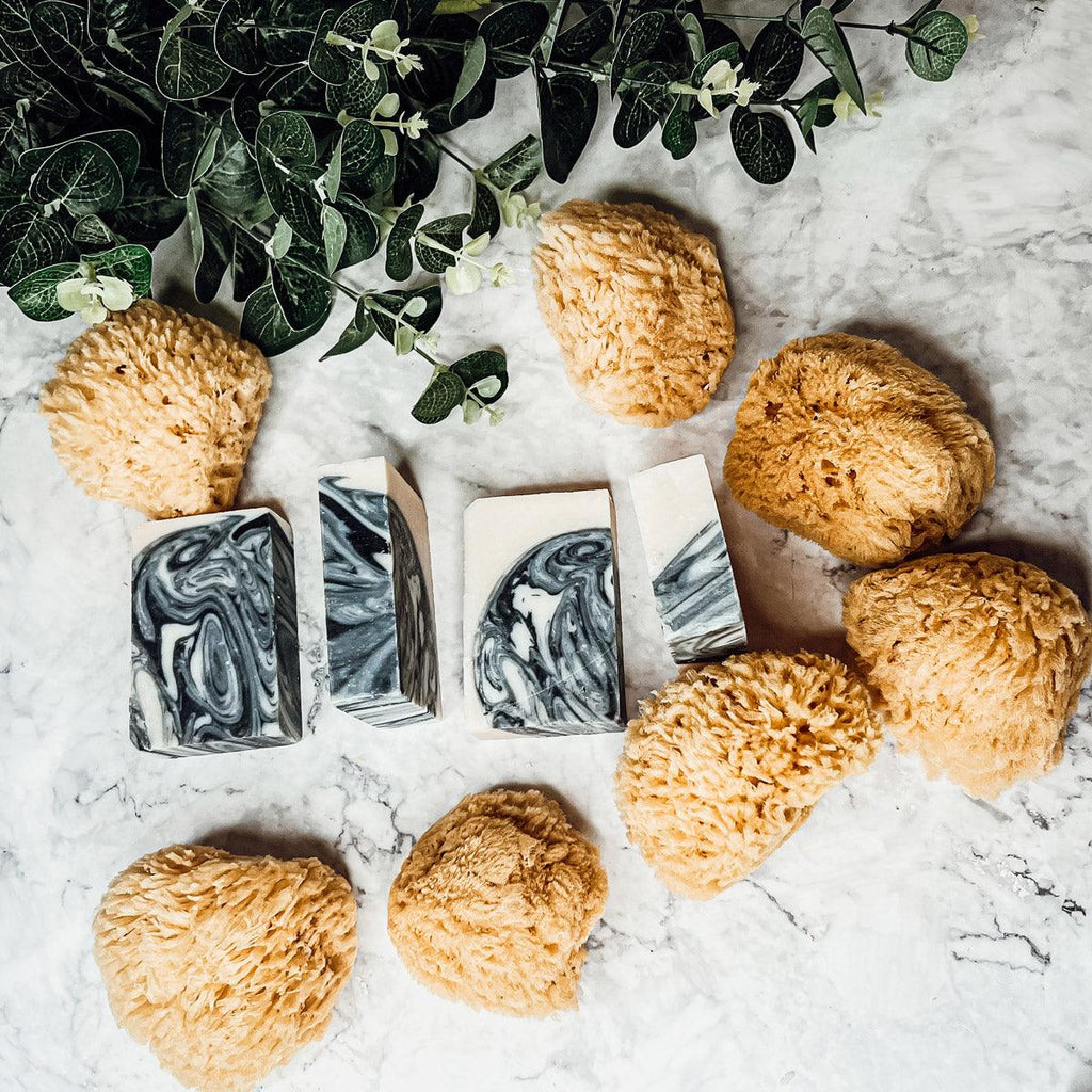 Natural Dead Sea Sponge