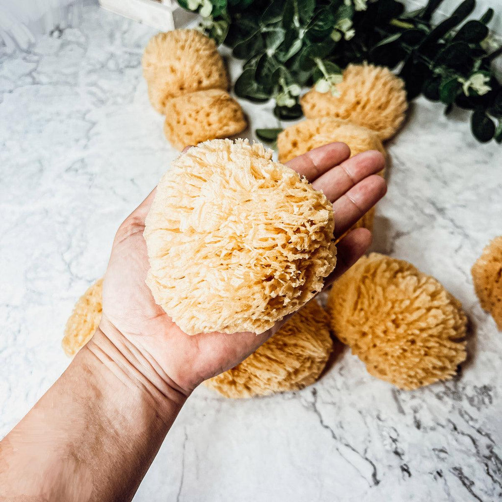 Natural Dead Sea Sponge