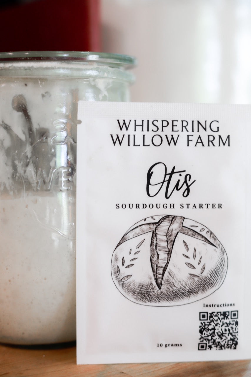 Otis Sourdough Starter - Active Since 2013