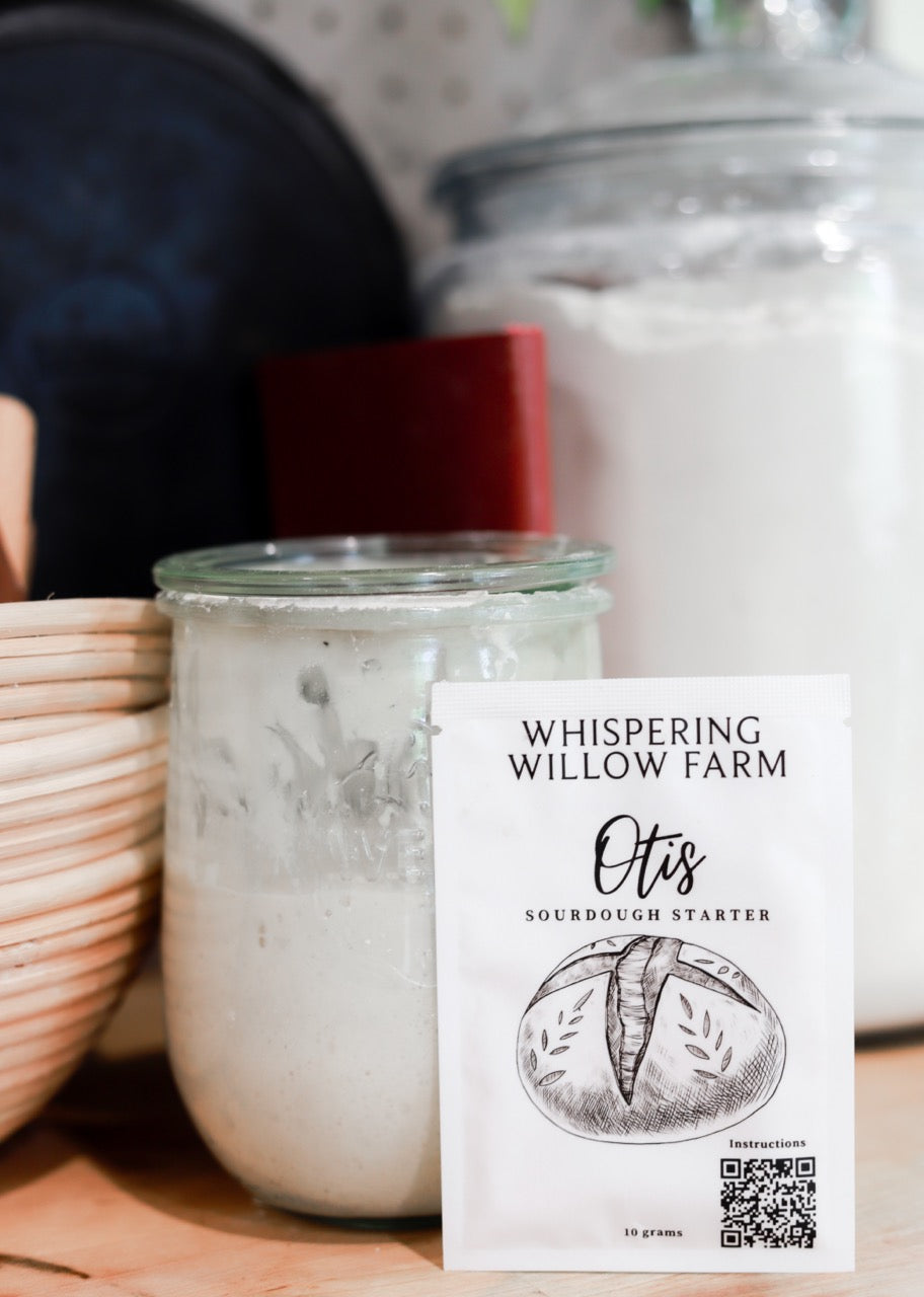 Otis Sourdough Starter - Active Since 2013