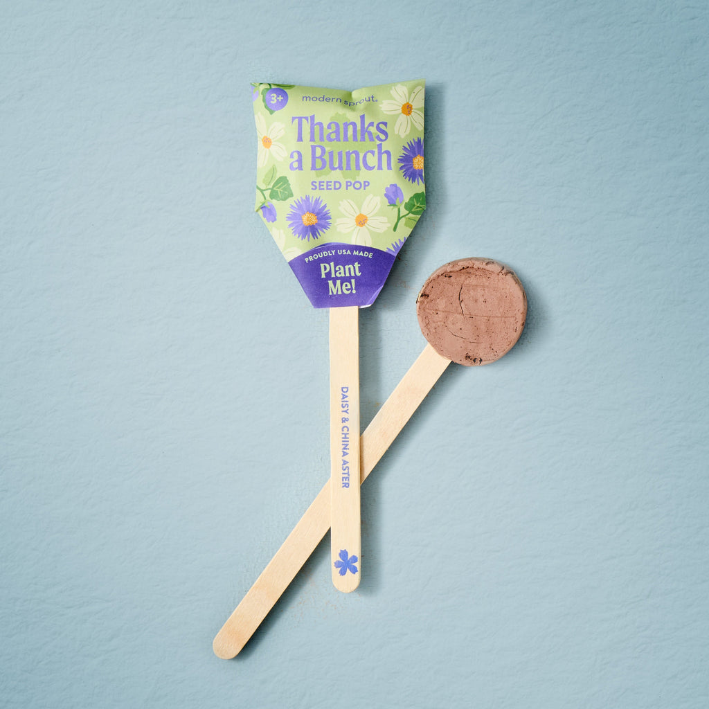 Seed Pops - Flowers