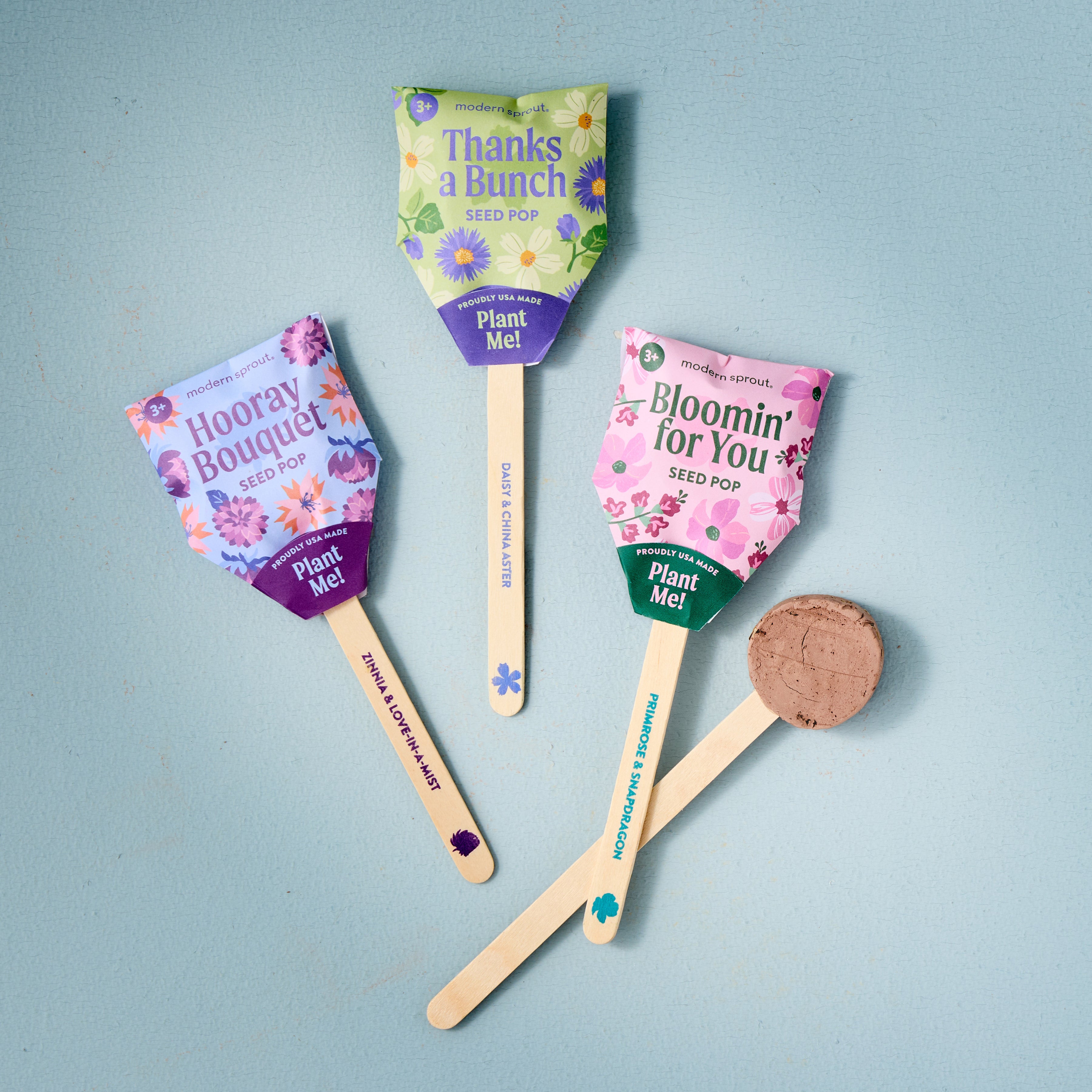 Seed Pops - Flowers