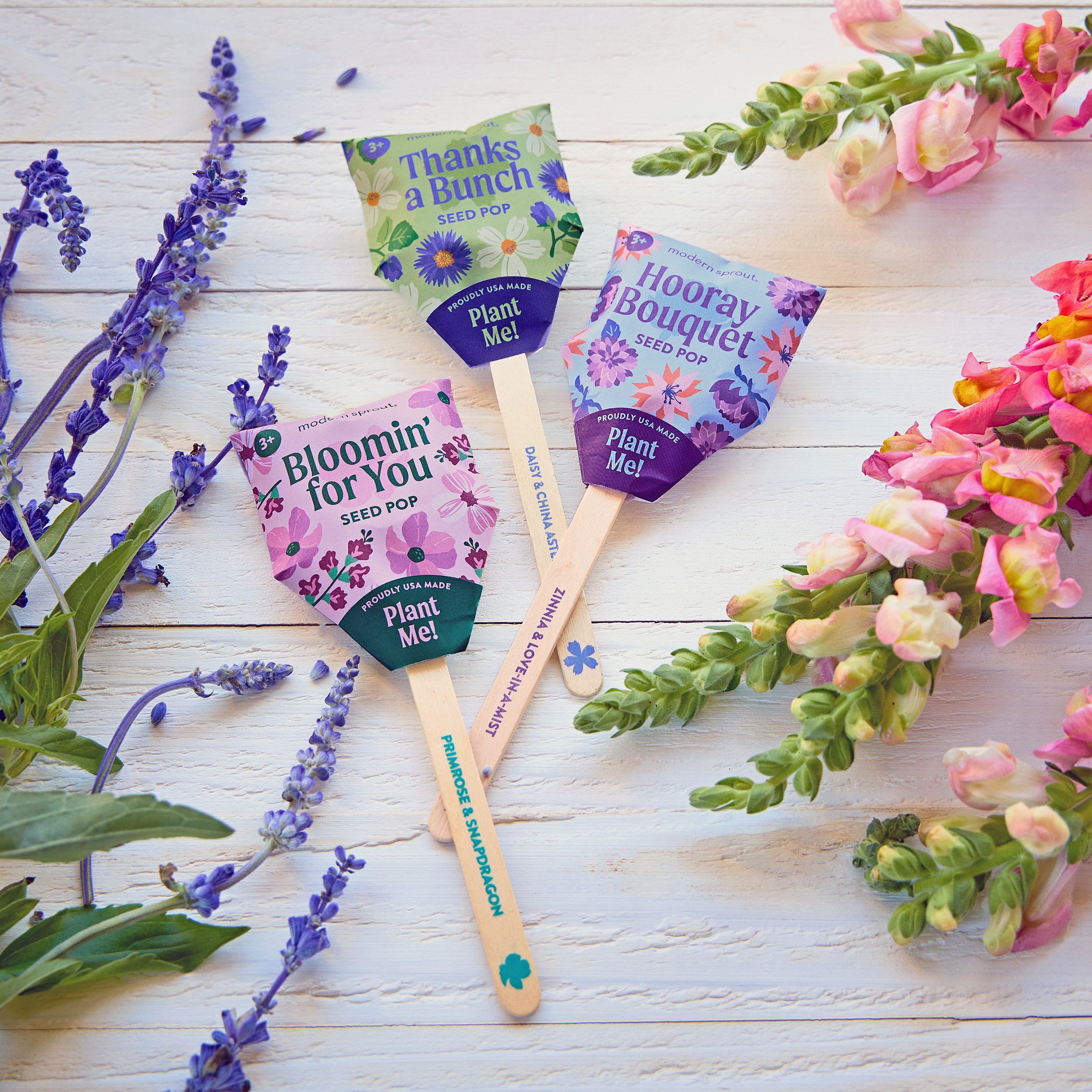 Seed Pops - Flowers