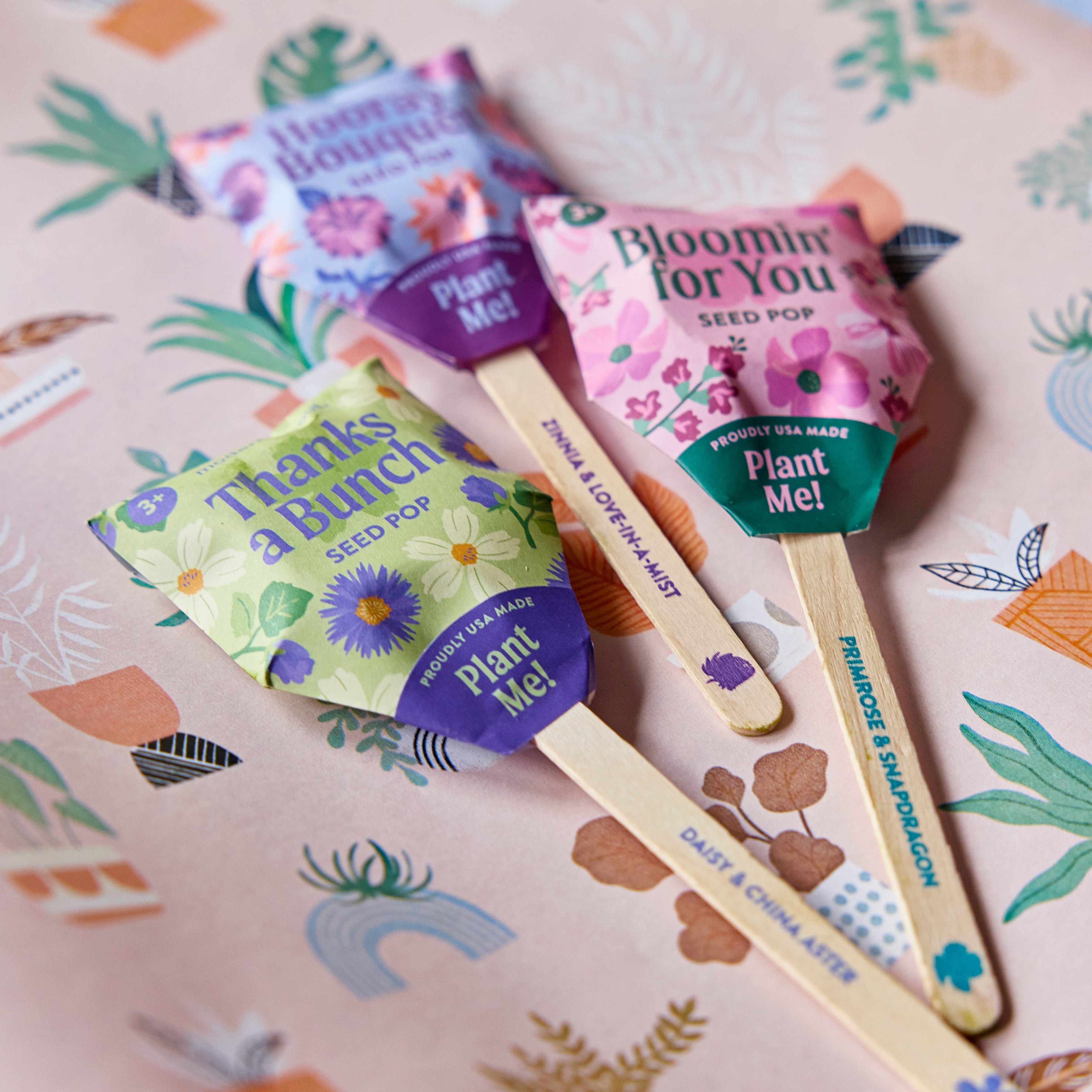 Seed Pops - Flowers