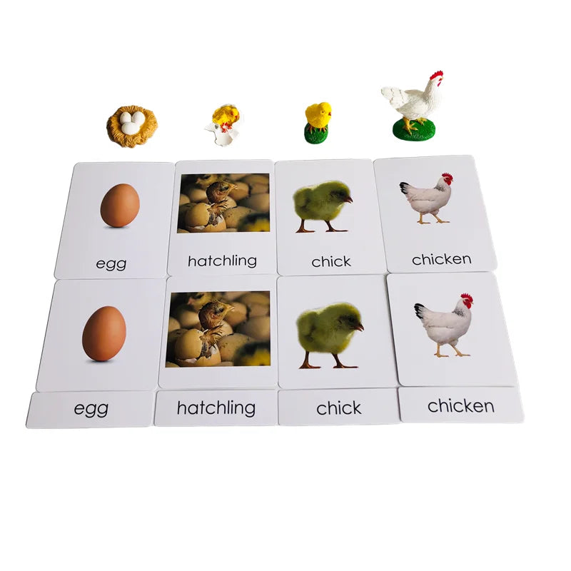 S403a4e04f8864e439310c6b0dbcb4bc14