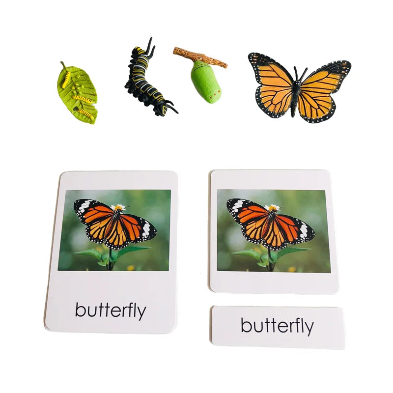 S9a3bc618f3db4566b90276d167bb7d19t