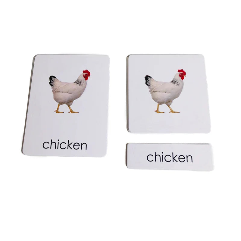 Sa153ff7bcaa4437ba9ae3aa2493f1a73u