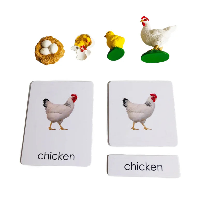 Sc616b2ba2e4c4e4b85f93354607f472an