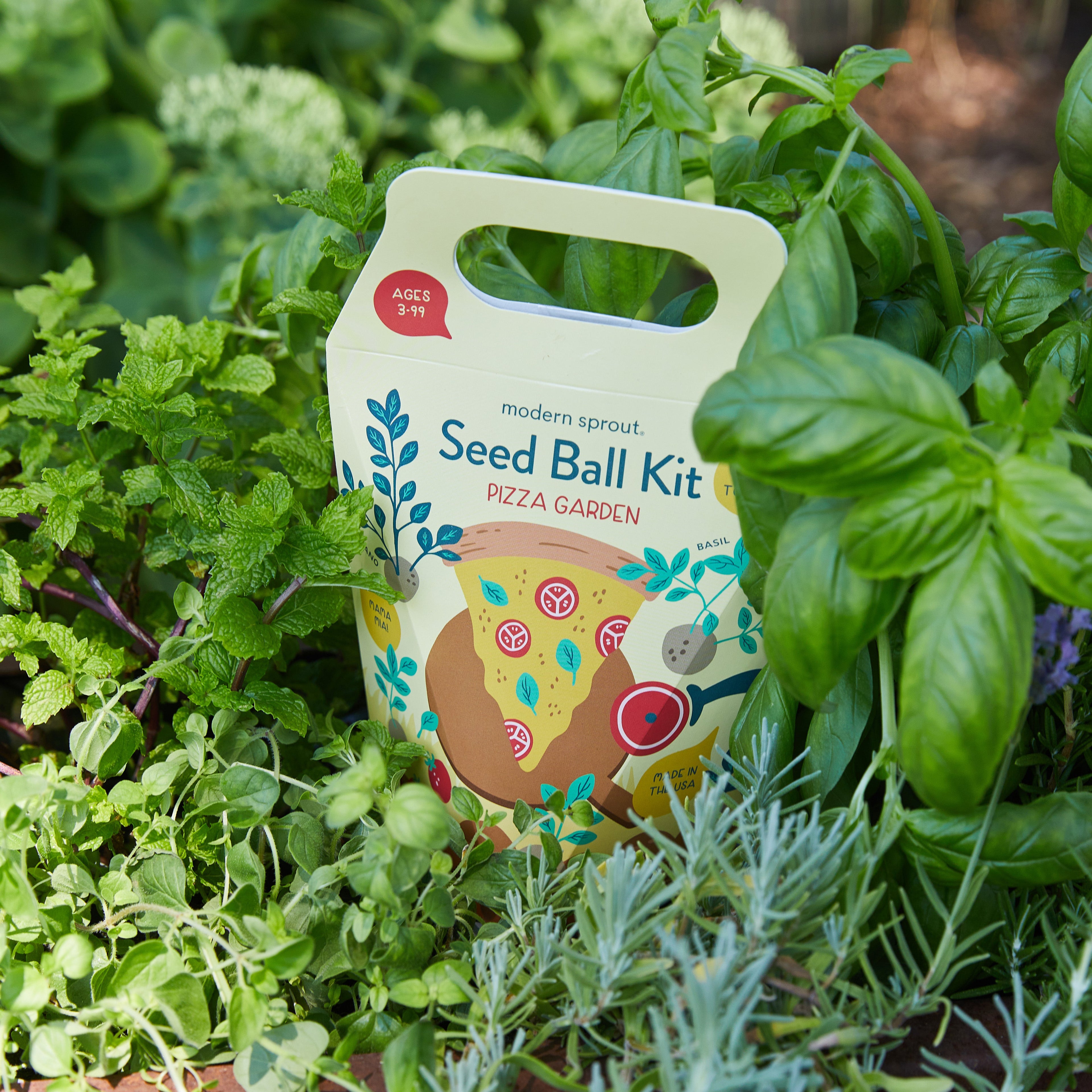 Seed Ball Kits