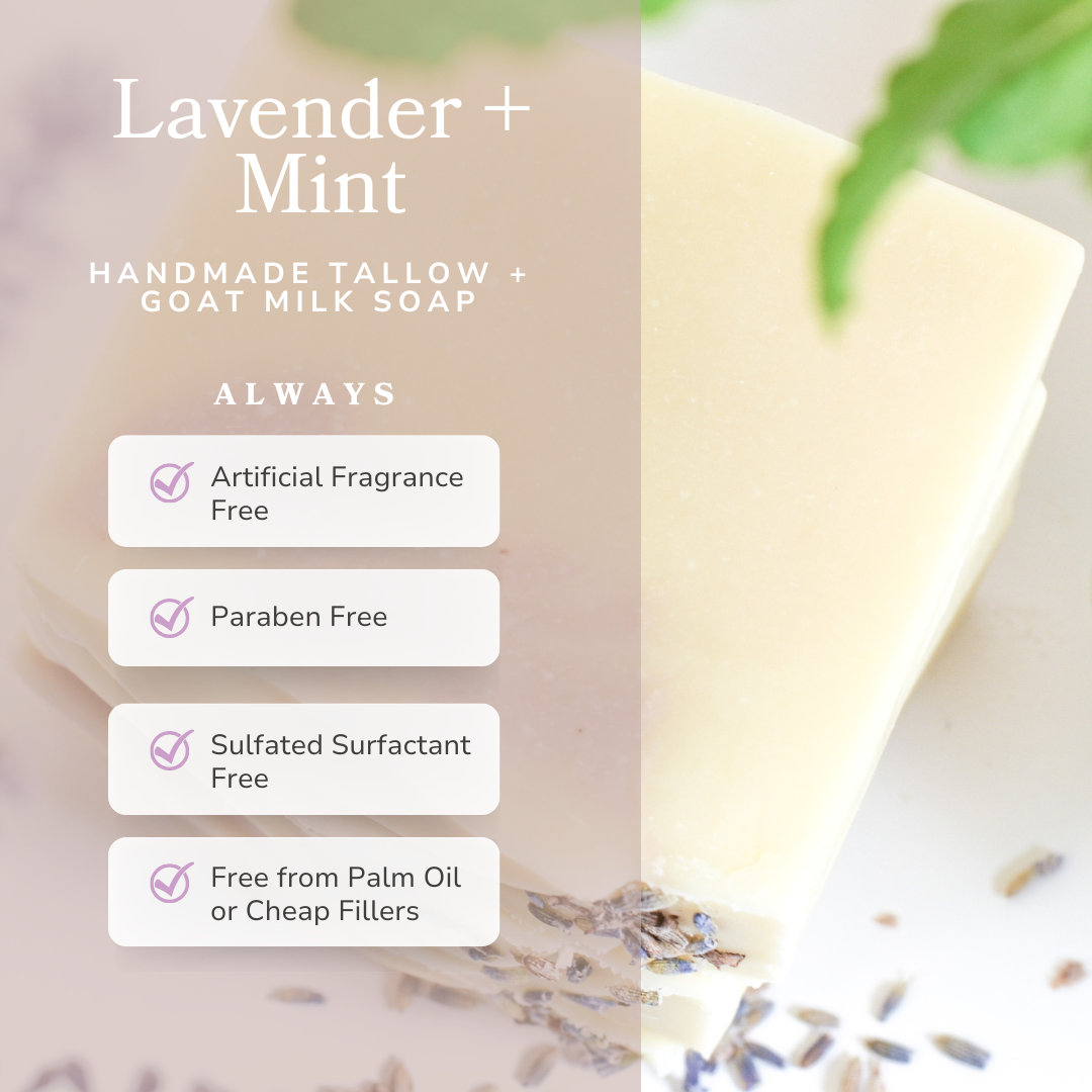 Lavender + Mint Goat Milk & Tallow Soap Bar - Calming & Refreshing Cleanser