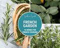 French Culinary Herb Seed Collection - 10 Gourmet Varieties