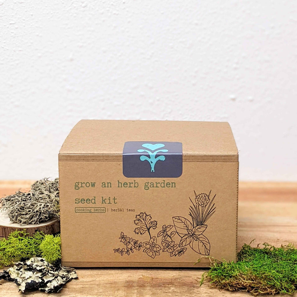 Organic Herb Garden Seed Kit - Cooking Herbs