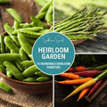 Heirloom Vegetable Seed Collection - 15 Premium Varieties