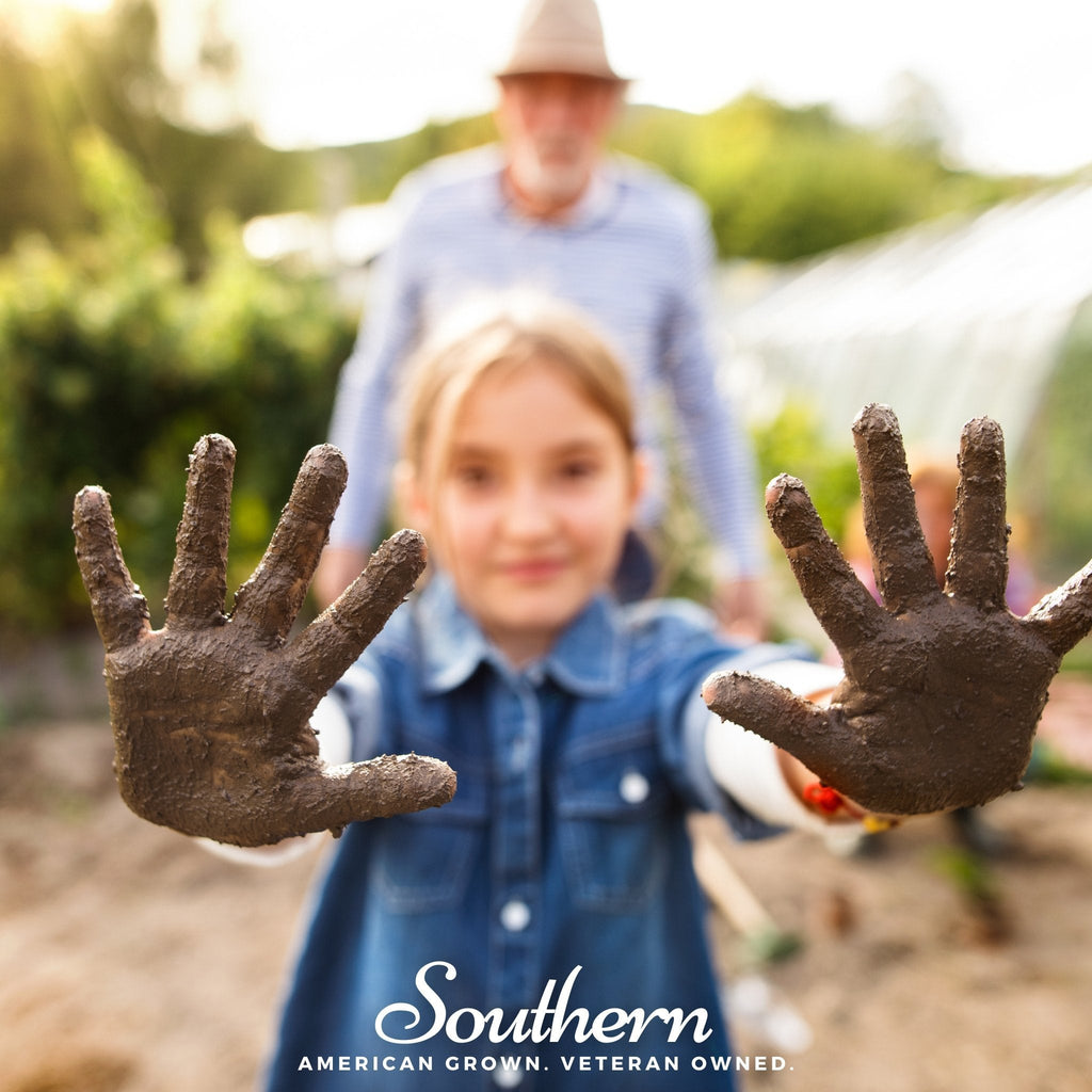 Kids Garden Seed Collection - 10 Easy-to-Grow Varieties