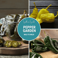 Pepper Seed Collection - 6 Heirloom Varieties
