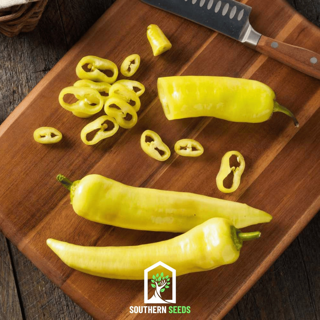 Pepper Seed Collection - 6 Heirloom Varieties