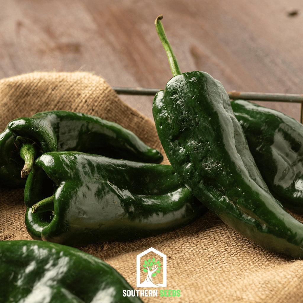 Pepper Seed Collection - 6 Heirloom Varieties