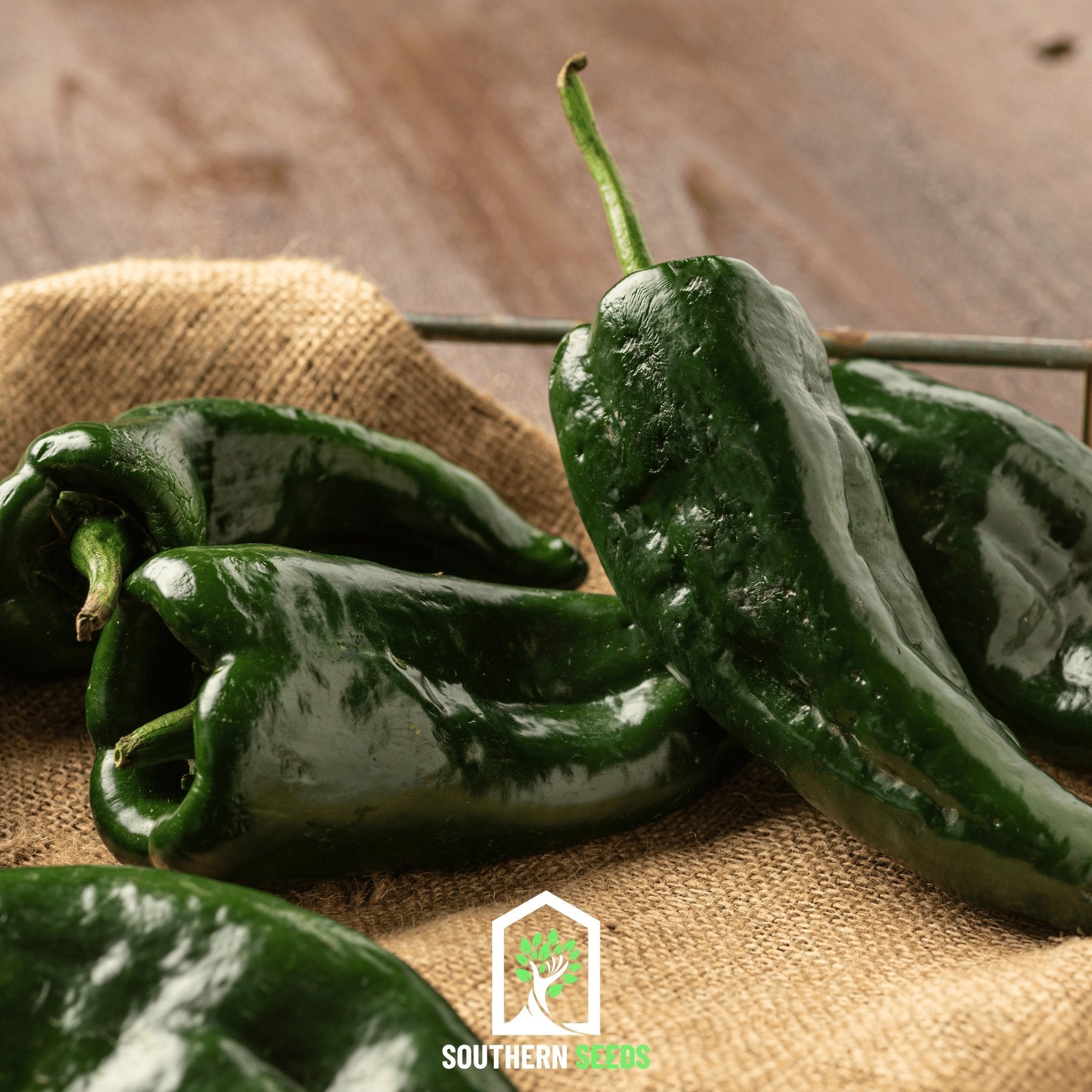Pepper Seed Collection - 6 Heirloom Varieties