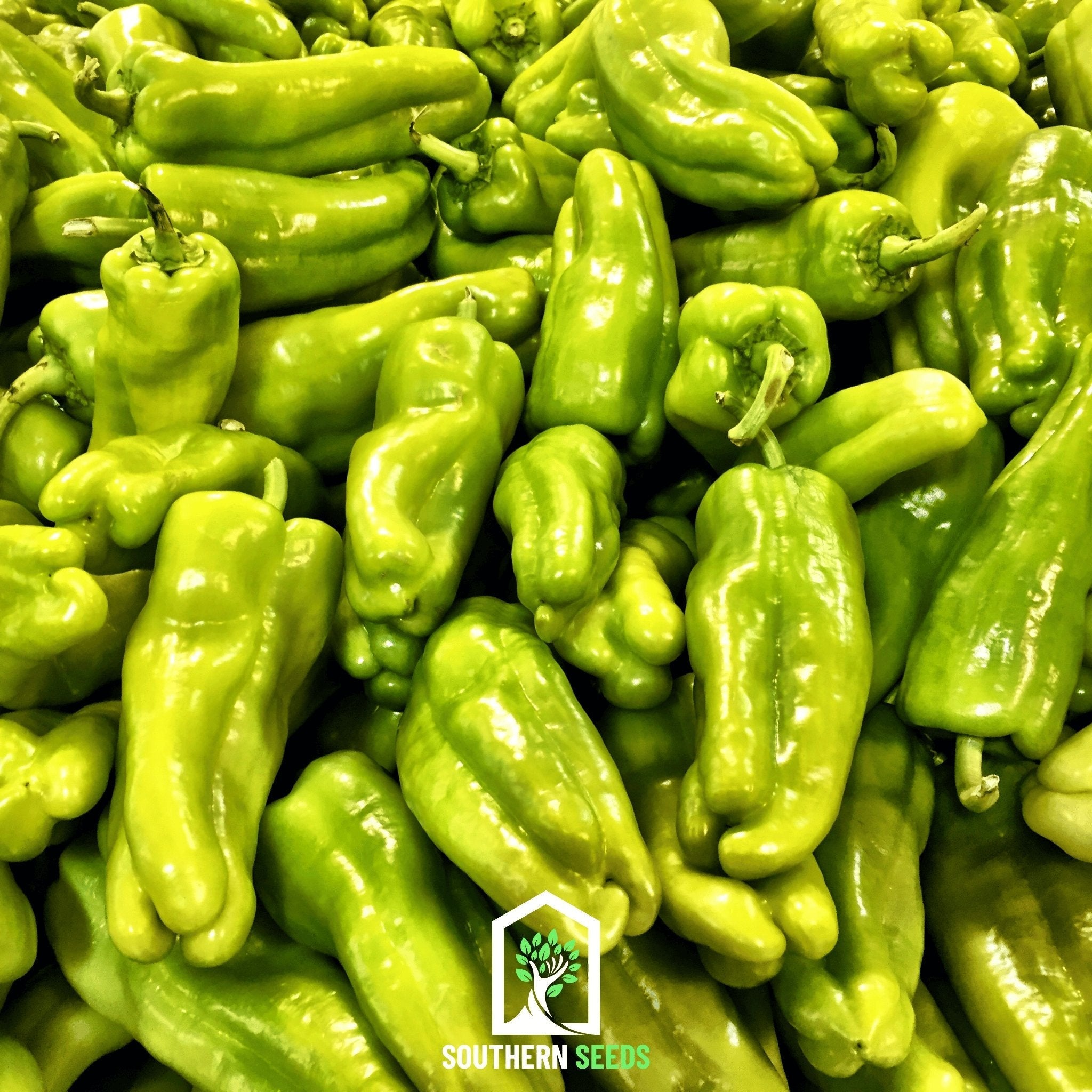 Pepper Seed Collection - 6 Heirloom Varieties