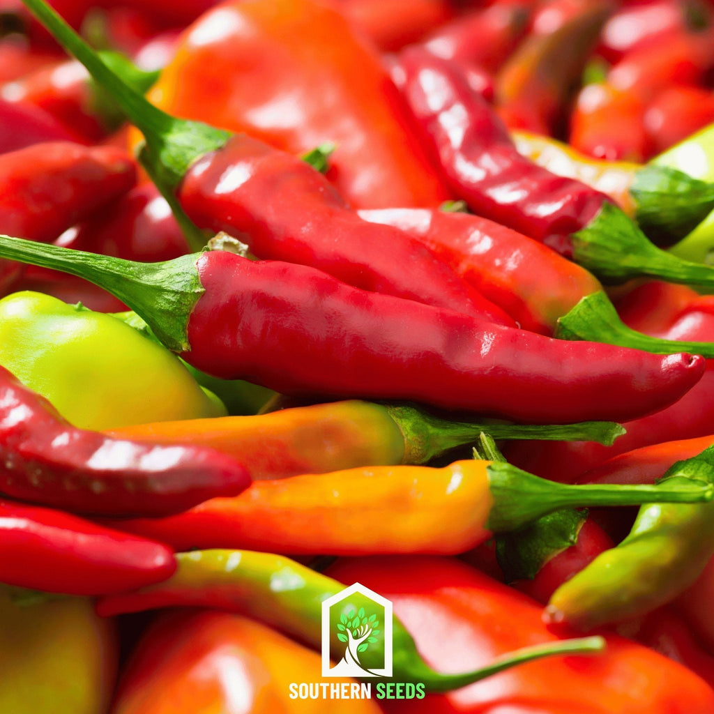 Pepper Seed Collection - 6 Heirloom Varieties