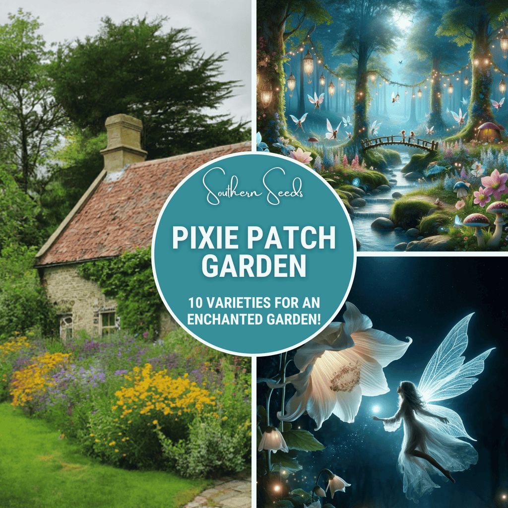 Pixie Patch Fairy Garden Seed Collection - 10 Enchanted Varieties