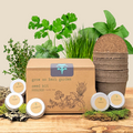 Organic Herb Garden Seed Kit - Cooking Herbs