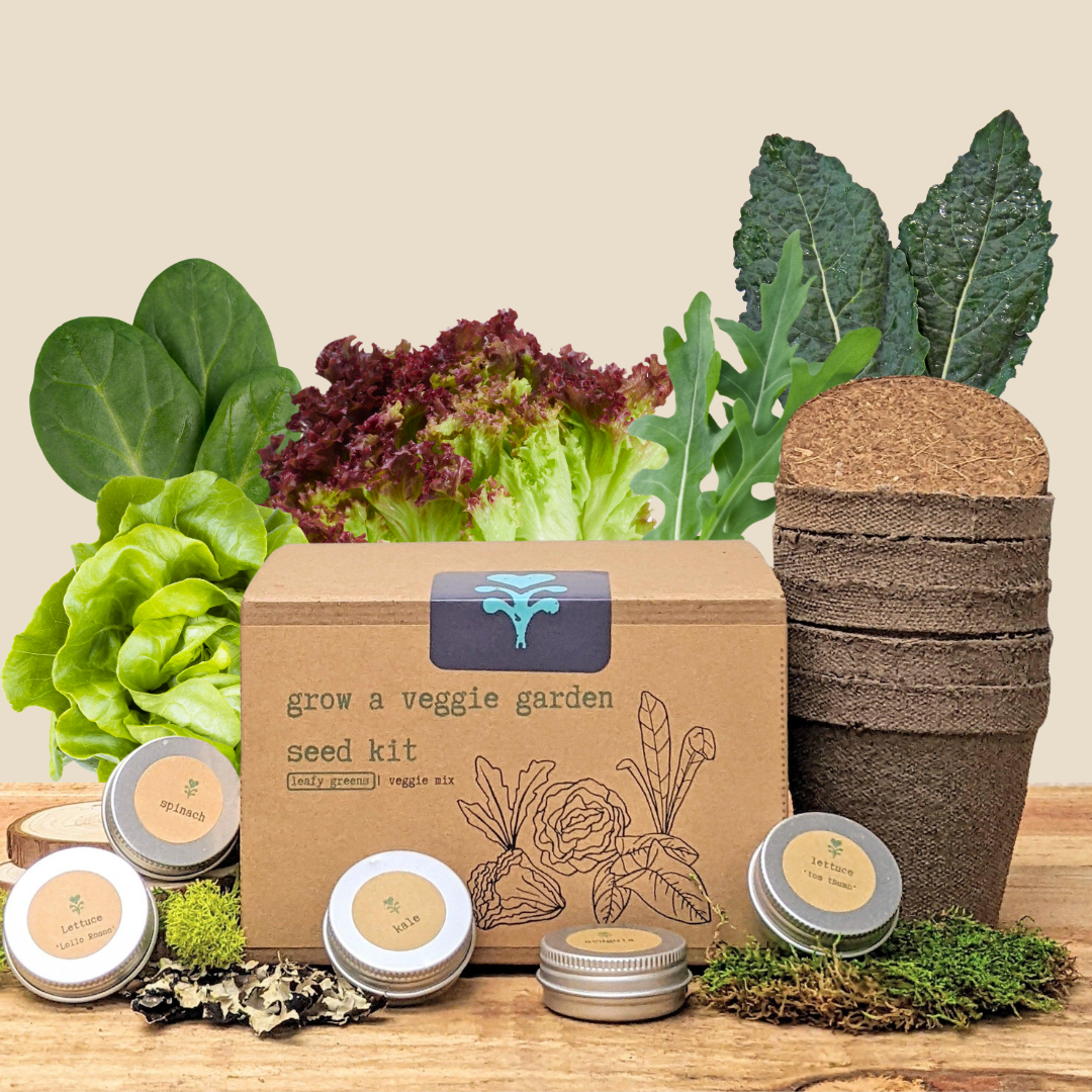 Organic Leafy Greens Seed Kit - Vegetable Garden