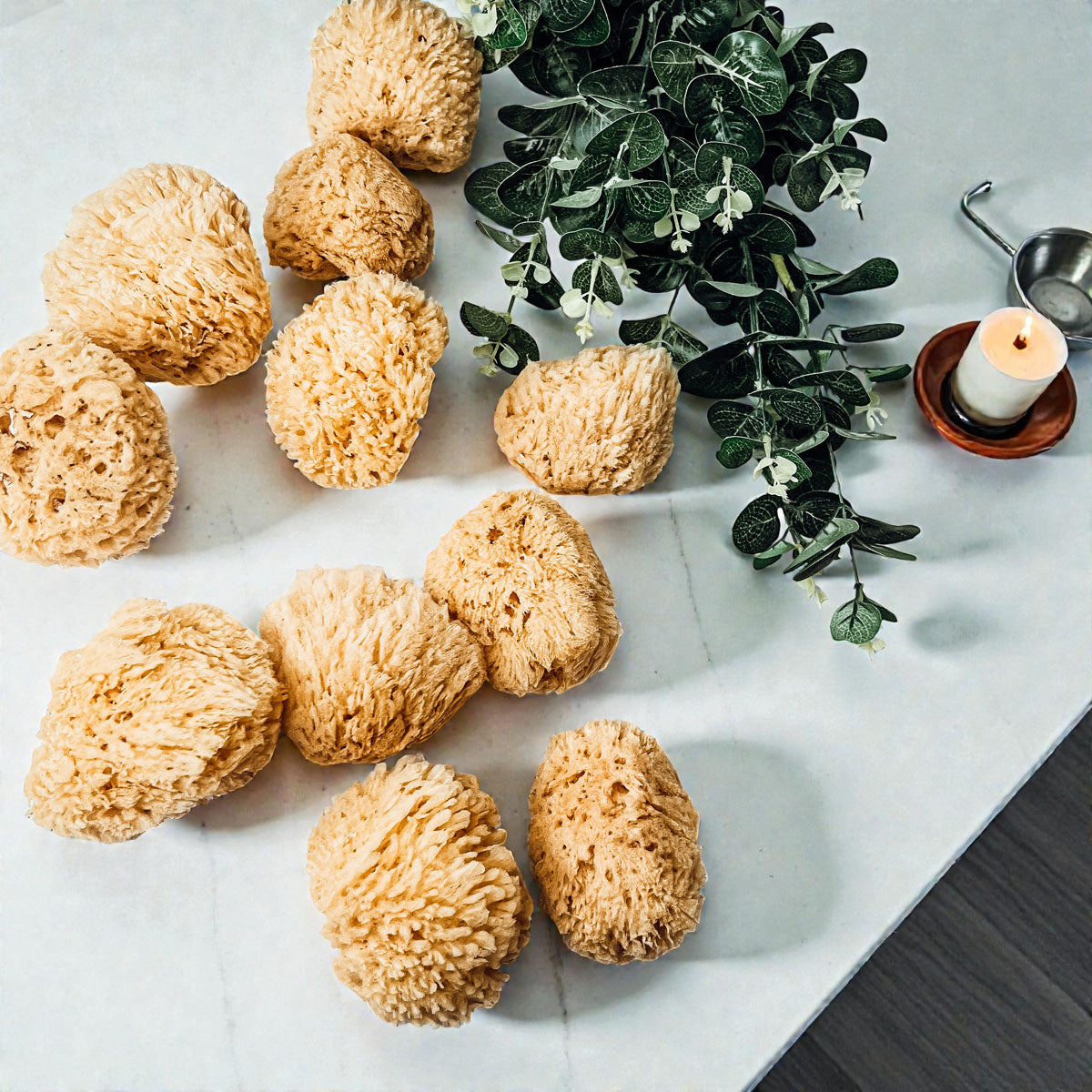 Natural Dead Sea Sponge