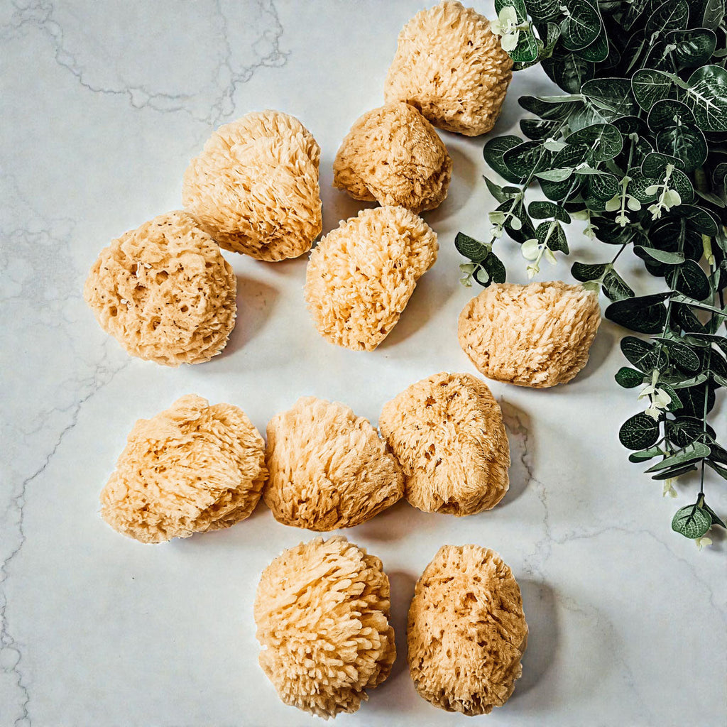 Natural Dead Sea Sponge