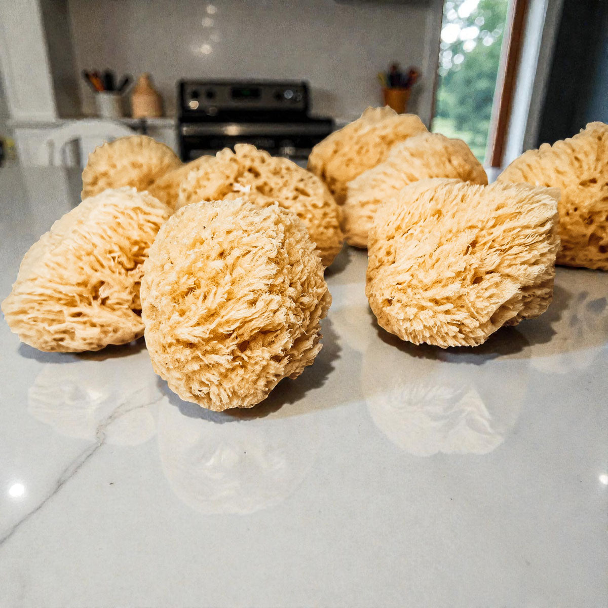 Natural Dead Sea Sponge