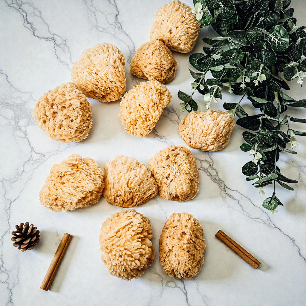 Natural Dead Sea Sponge